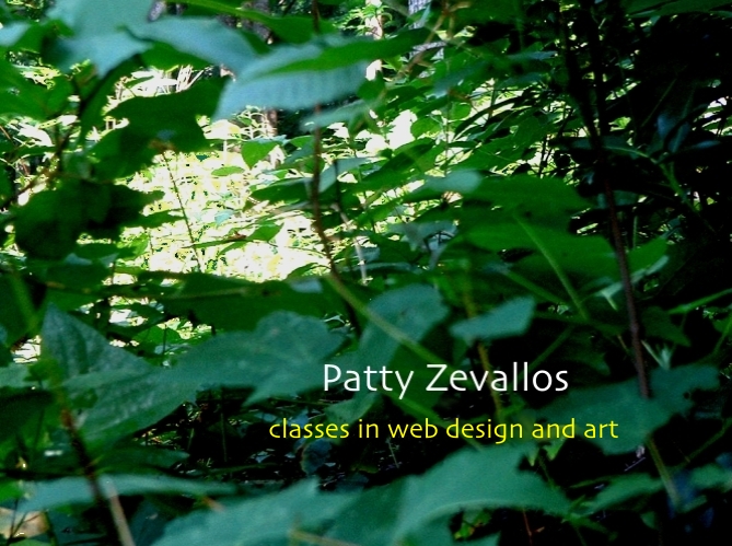 web design and art classes taught by Patty Zevallos
