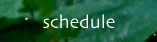 schedule